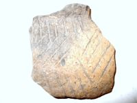 Cronica Cercetărilor Arheologice din România, Campania 2007. Raportul nr. 19