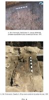 Cronica Cercetărilor Arheologice din România, Campania 2007. Raportul nr. 27
