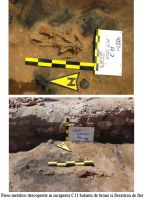 Cronica Cercetărilor Arheologice din România, Campania 2007. Raportul nr. 32.<br /> Sectorul 01sectorul-de-est.