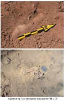 Cronica Cercetărilor Arheologice din România, Campania 2007. Raportul nr. 32.<br /> Sectorul 01sectorul-de-est.
