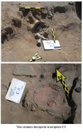 Cronica Cercetărilor Arheologice din România, Campania 2007. Raportul nr. 32.<br /> Sectorul 01sectorul-de-est.
