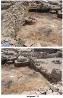 Cronica Cercetărilor Arheologice din România, Campania 2007. Raportul nr. 32.<br /> Sectorul 01sectorul-de-est.