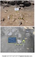 Cronica Cercetărilor Arheologice din România, Campania 2007. Raportul nr. 32.<br /> Sectorul 01sectorul-de-est.