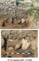 Cronica Cercetărilor Arheologice din România, Campania 2007. Raportul nr. 32.<br /> Sectorul 02-sector-III-VI.