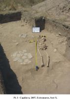 Cronica Cercetărilor Arheologice din România, Campania 2007. Raportul nr. 32.<br /> Sectorul 04-sector-X-extra-muros.