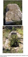 Cronica Cercetărilor Arheologice din România, Campania 2007. Raportul nr. 32.<br /> Sectorul 05territorium.