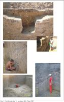 Cronica Cercetărilor Arheologice din România, Campania 2007. Raportul nr. 41