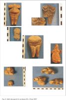 Cronica Cercetărilor Arheologice din România, Campania 2007. Raportul nr. 41