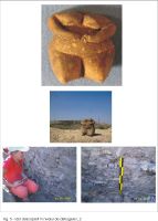 Cronica Cercetărilor Arheologice din România, Campania 2007. Raportul nr. 41