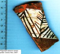 Cronica Cercetărilor Arheologice din România, Campania 2007. Raportul nr. 46