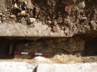 Cronica Cercetărilor Arheologice din România, Campania 2007. Raportul nr. 50