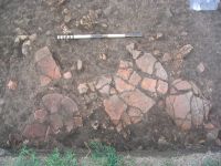 Cronica Cercetărilor Arheologice din România, Campania 2007. Raportul nr. 53