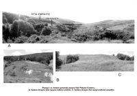 Cronica Cercetărilor Arheologice din România, Campania 2007. Raportul nr. 56