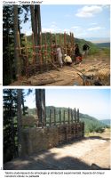 Cronica Cercetărilor Arheologice din România, Campania 2007. Raportul nr. 57