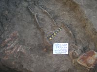 Cronica Cercetărilor Arheologice din România, Campania 2007. Raportul nr. 59