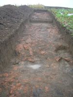 Cronica Cercetărilor Arheologice din România, Campania 2007. Raportul nr. 59