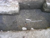 Cronica Cercetărilor Arheologice din România, Campania 2007. Raportul nr. 60