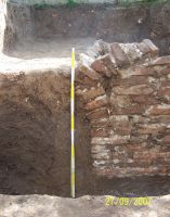 Cronica Cercetărilor Arheologice din România, Campania 2007. Raportul nr. 63