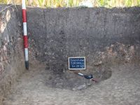 Cronica Cercetărilor Arheologice din România, Campania 2007. Raportul nr. 69