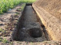 Cronica Cercetărilor Arheologice din România, Campania 2007. Raportul nr. 69