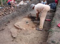 Cronica Cercetărilor Arheologice din România, Campania 2007. Raportul nr. 69