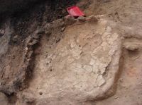 Cronica Cercetărilor Arheologice din România, Campania 2007. Raportul nr. 69