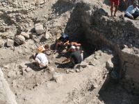 Cronica Cercetărilor Arheologice din România, Campania 2007. Raportul nr. 75
