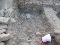 Cronica Cercetărilor Arheologice din România, Campania 2007. Raportul nr. 75