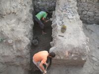 Cronica Cercetărilor Arheologice din România, Campania 2007. Raportul nr. 75