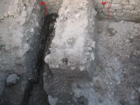 Cronica Cercetărilor Arheologice din România, Campania 2007. Raportul nr. 75