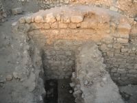 Cronica Cercetărilor Arheologice din România, Campania 2007. Raportul nr. 75
