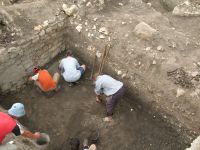 Cronica Cercetărilor Arheologice din România, Campania 2007. Raportul nr. 75
