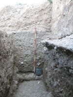 Cronica Cercetărilor Arheologice din România, Campania 2007. Raportul nr. 75
