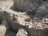 Cronica Cercetărilor Arheologice din România, Campania 2007. Raportul nr. 75