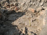 Cronica Cercetărilor Arheologice din România, Campania 2007. Raportul nr. 75