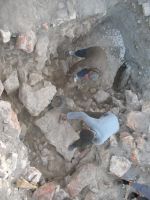 Cronica Cercetărilor Arheologice din România, Campania 2007. Raportul nr. 75