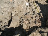 Cronica Cercetărilor Arheologice din România, Campania 2007. Raportul nr. 75