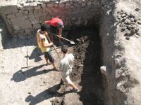 Cronica Cercetărilor Arheologice din România, Campania 2007. Raportul nr. 75