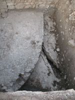 Cronica Cercetărilor Arheologice din România, Campania 2007. Raportul nr. 75
