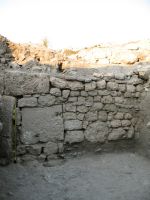 Cronica Cercetărilor Arheologice din România, Campania 2007. Raportul nr. 75