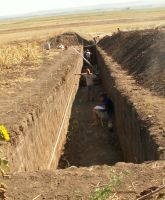 Cronica Cercetărilor Arheologice din România, Campania 2007. Raportul nr. 84