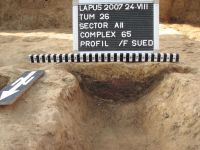 Cronica Cercetărilor Arheologice din România, Campania 2007. Raportul nr. 90