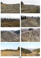 Cronica Cercetărilor Arheologice din România, Campania 2007. Raportul nr. 91