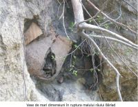 Cronica Cercetărilor Arheologice din România, Campania 2007. Raportul nr. 108