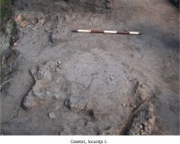 Cronica Cercetărilor Arheologice din România, Campania 2007. Raportul nr. 108