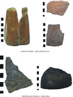 Cronica Cercetărilor Arheologice din România, Campania 2007. Raportul nr. 108