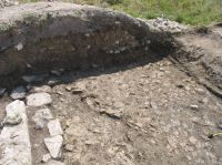 Cronica Cercetărilor Arheologice din România, Campania 2007. Raportul nr. 116