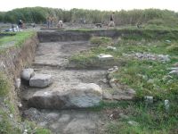 Cronica Cercetărilor Arheologice din România, Campania 2007. Raportul nr. 116