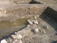Cronica Cercetărilor Arheologice din România, Campania 2007. Raportul nr. 116