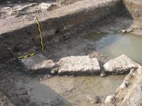 Cronica Cercetărilor Arheologice din România, Campania 2007. Raportul nr. 116
